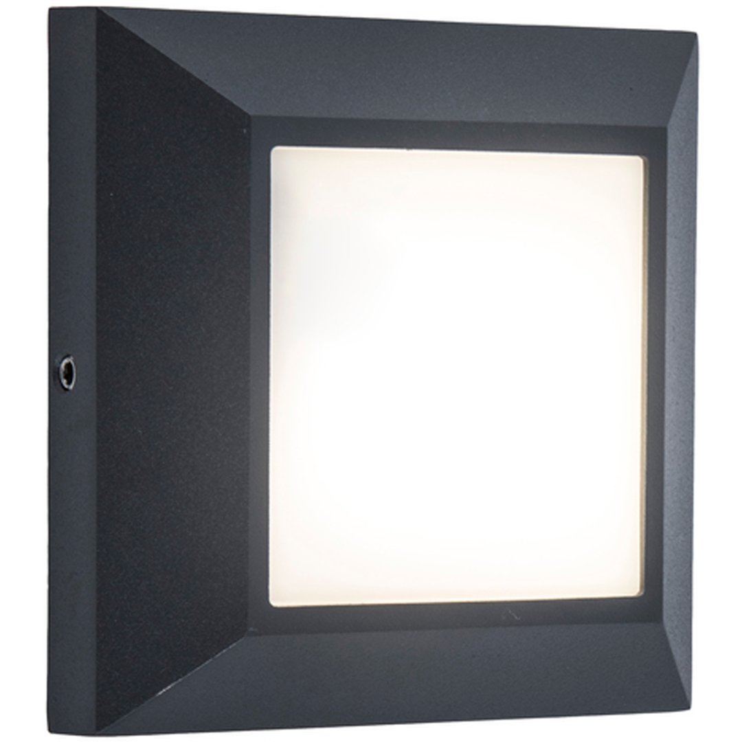 Lutec Wall Light Helena 6402101118 4W Led
