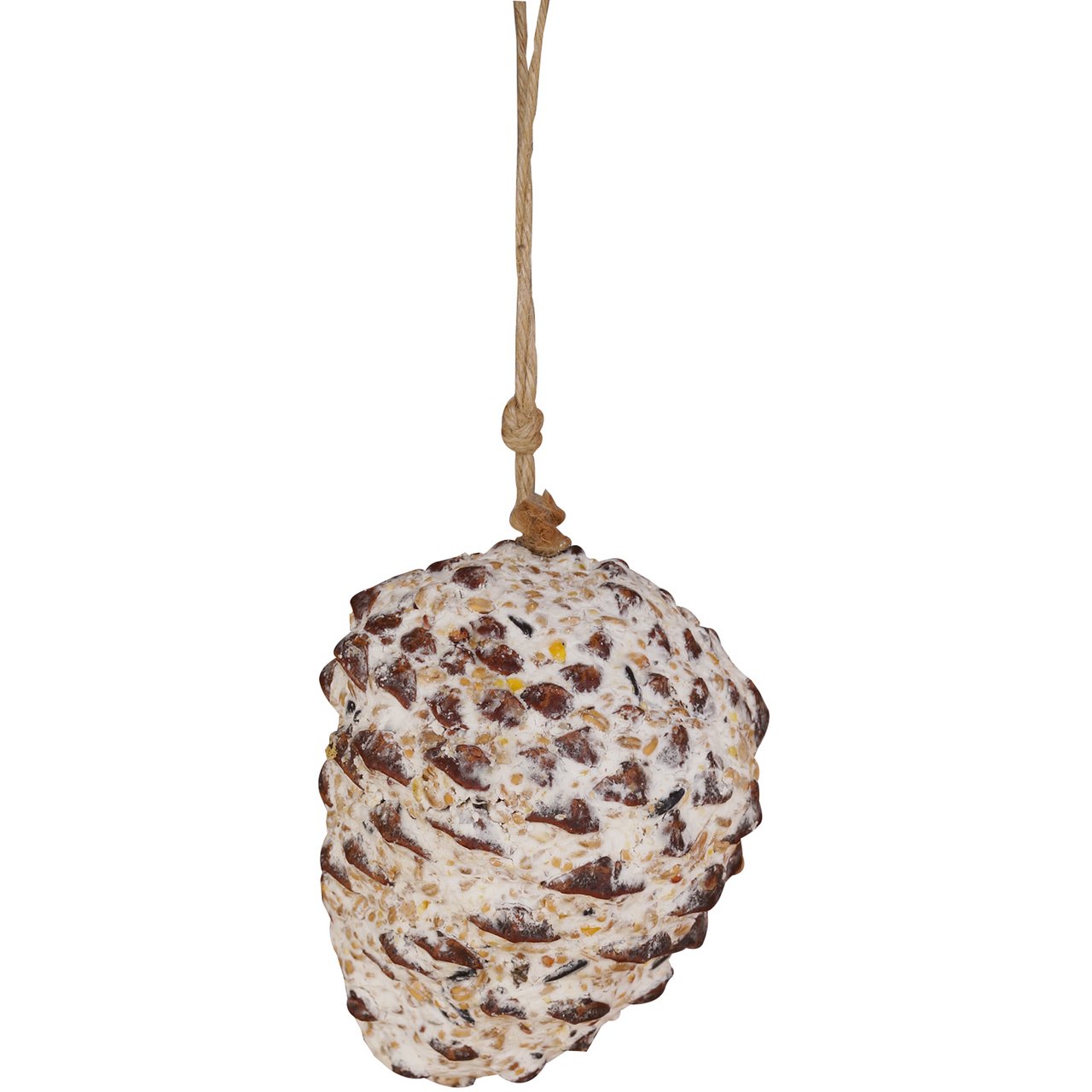 BIRD KONGLE MED FUGLEMAT