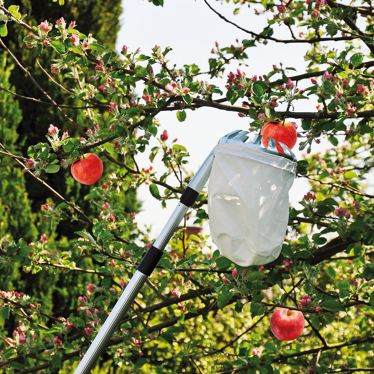 GROUW FRUKTPLUKKER M/TELESKOPSKAFT 150-260 CM GROUW FRUKTPLUKKER M/TELESKOPSKAFT 150-260 CM