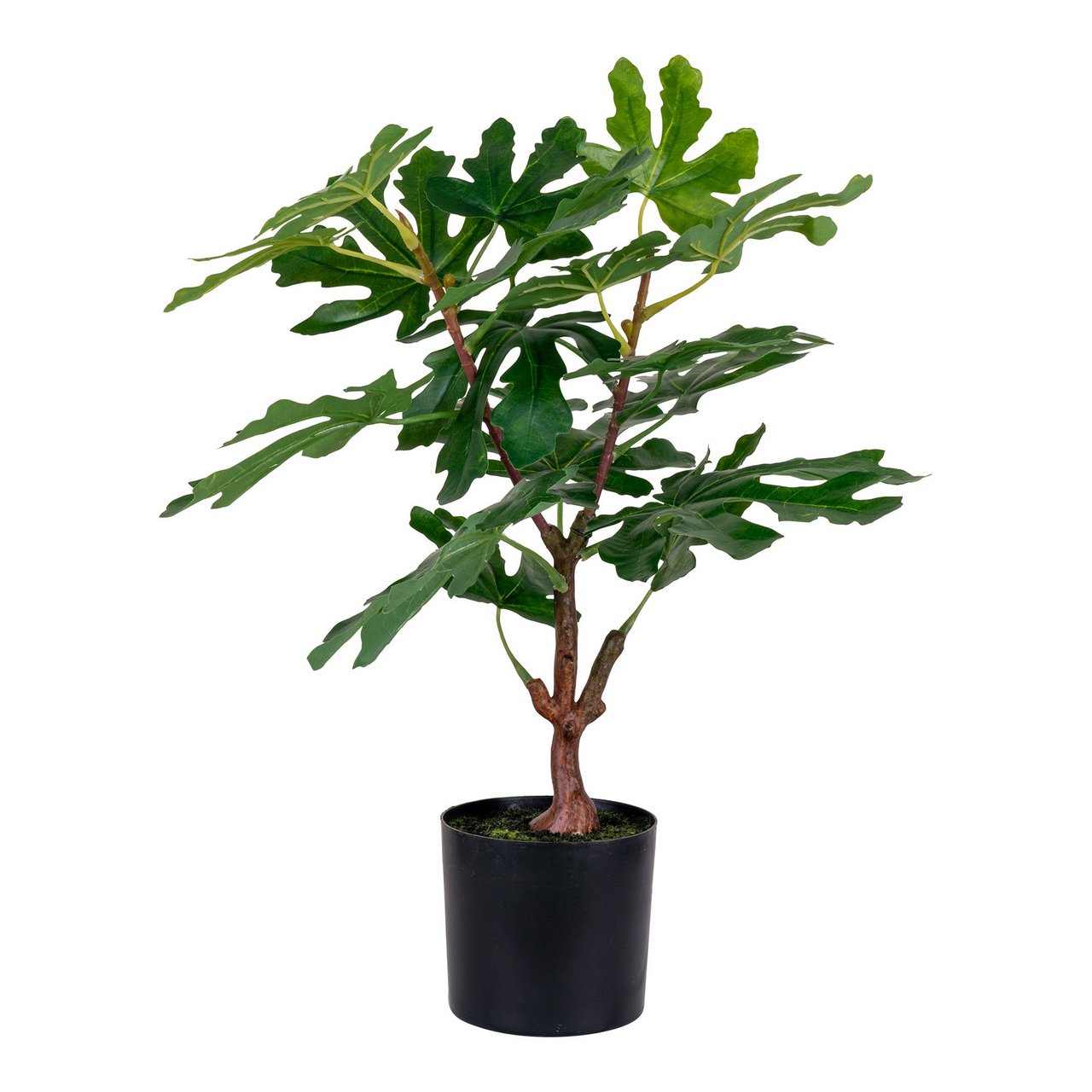 HOUSE NORDIC FIKENTRE KUNSTIG PLANTE GRØNN H60 CM