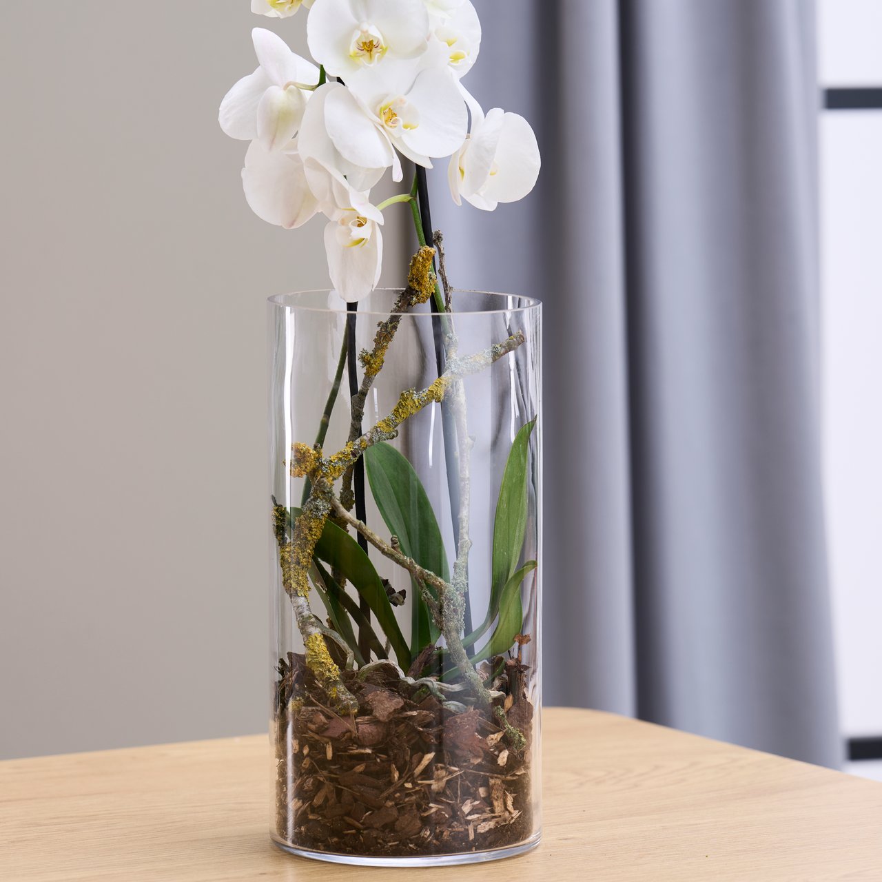 DAY VASE SYLINDER Ø15CM H30CM GLASS DAY VASE SYLINDER Ø15CM H30CM GLASS