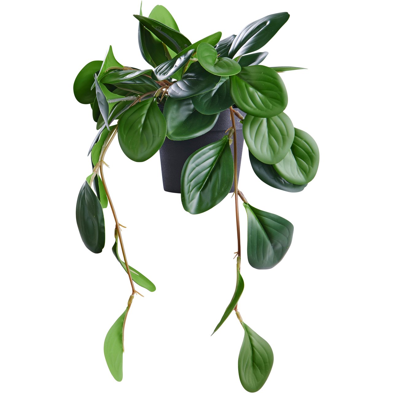 DAY KUNSTIG PLANTE PEPEROMIA 37CM DAY KUNSTIG PLANTE PEPEROMIA 37CM