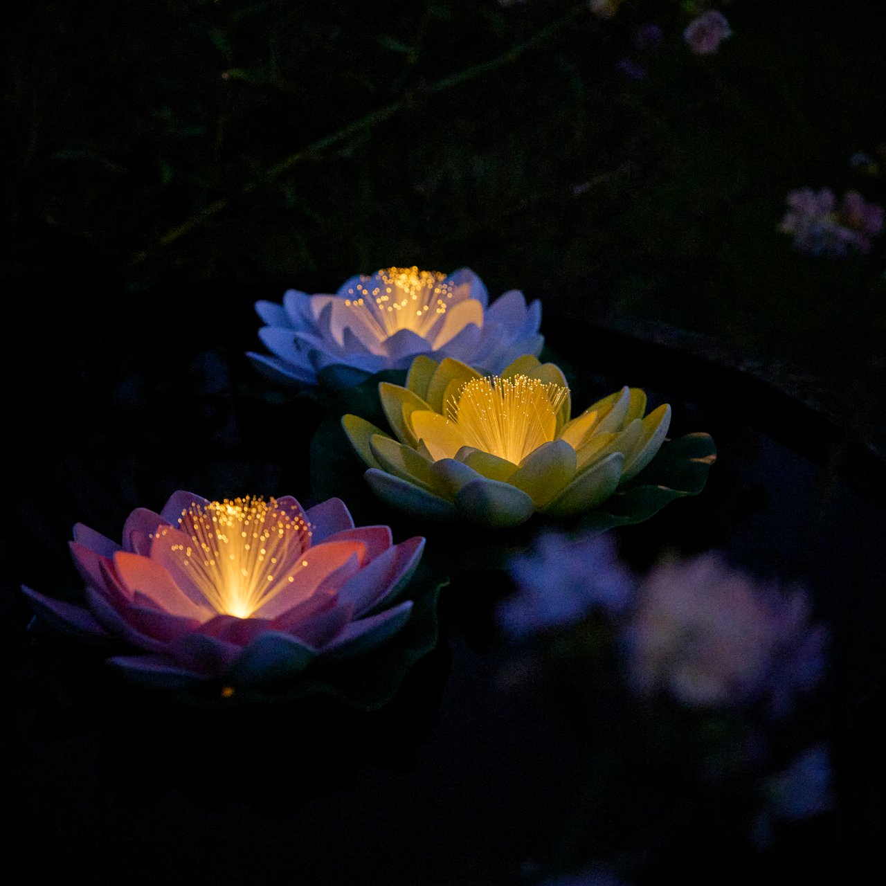 OUTFIT SOLAR VANNLILJE ASSORTERT