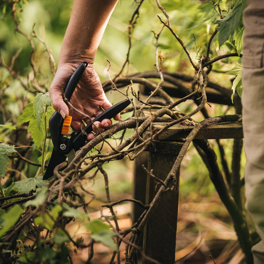 FISKARS SINGLESTEP BESKJÆRINGSSAKS SS P26 FISKARS SINGLESTEP BESKJÆRINGSSAKS SS P26