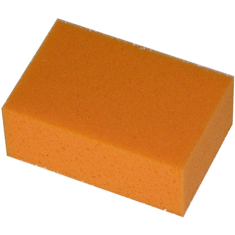 SVAMP ORANGE SVAMP ORANGE