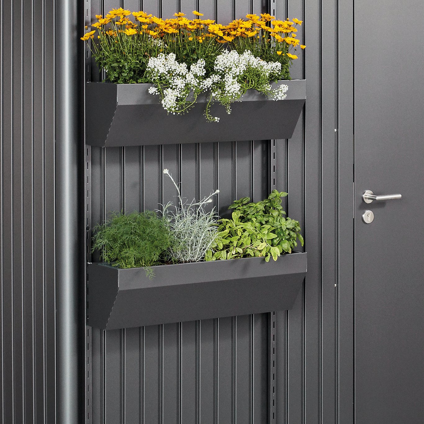 BIOHORT FLORABOARD FOR REDSKAPSBOD AVANTGARDE HIGHLINE, PANORAMA, MØRK GRÅ METALLIC