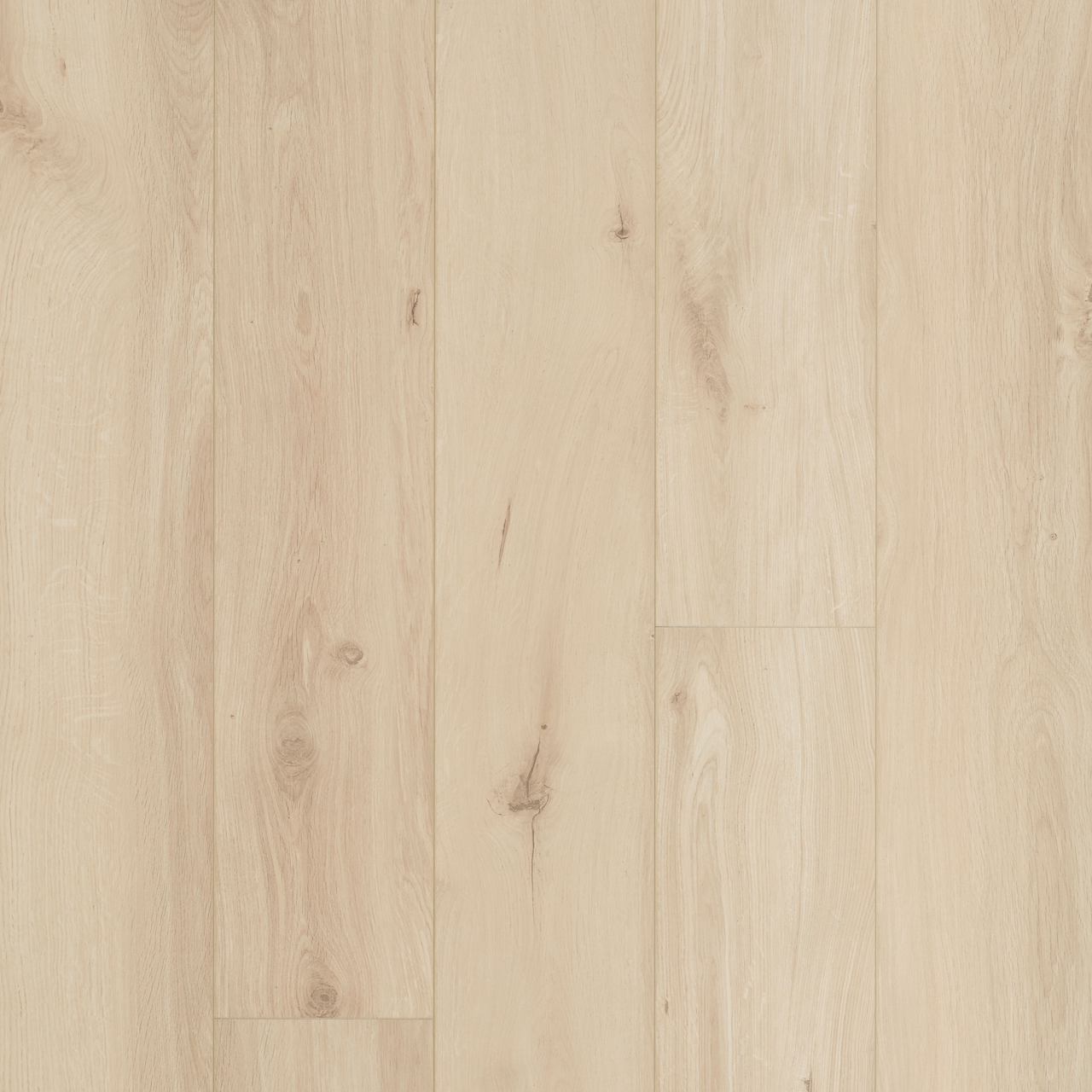BERRYALLOC OCEAN 8 XL GYANT LIGHT SAND LAMINATGULV