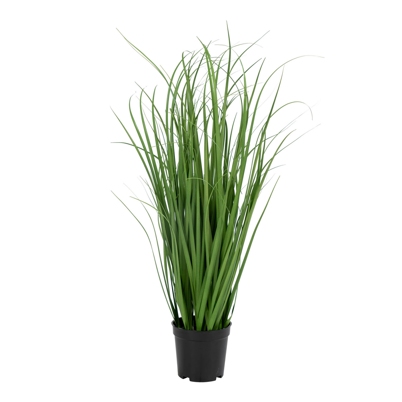 HOUSE NORDIC POA GRESS KUNSTIG PLANTE GRØNN H68 CM