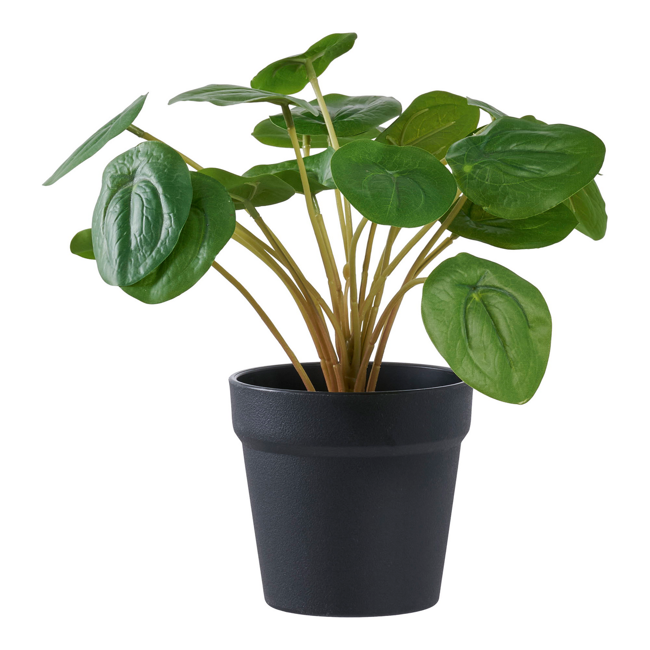 HOUSE NORDIC PELIA KUNSTIG PLANTE GRØNN H28 CM