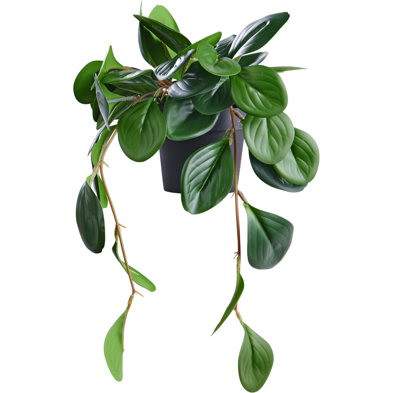 DAY KUNSTIG PLANTE PEPEROMIA 37CM